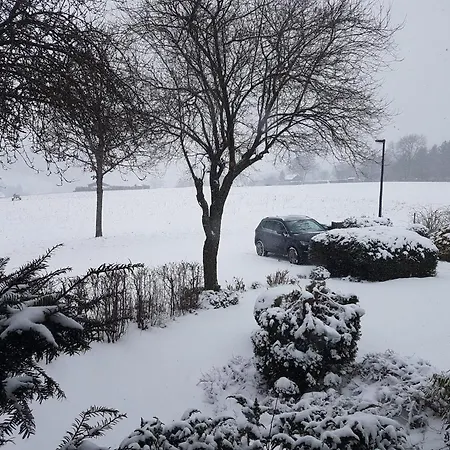 Mit Kamin-sonnendurchflutet-balkon *