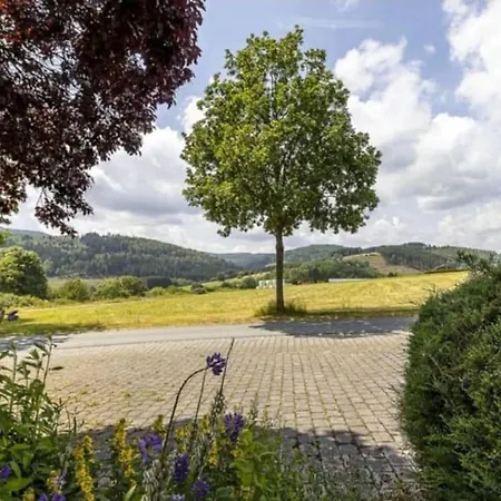 Mit Kamin-sonnendurchflutet-balkon Winterberg