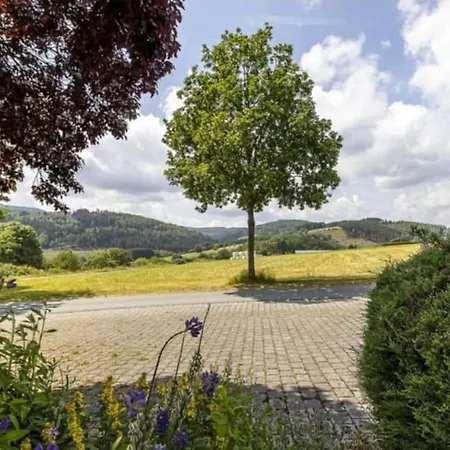 Mit Kamin-sonnendurchflutet-balkon Winterberg