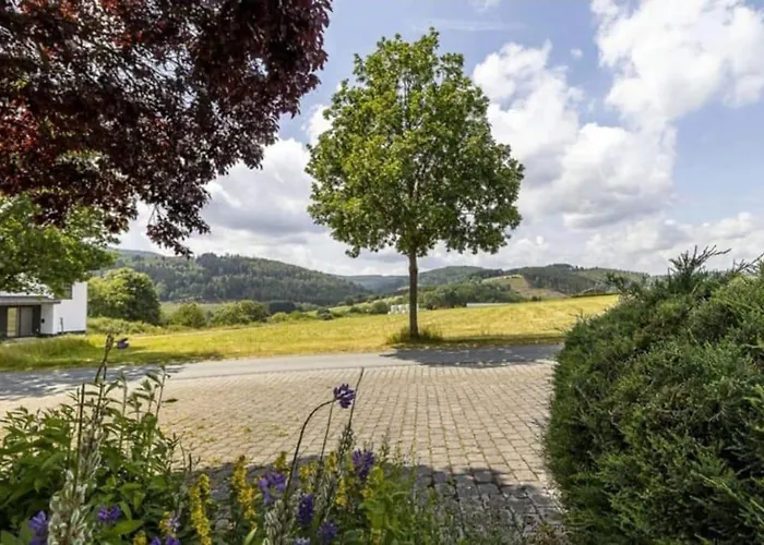 Mit Kamin-sonnendurchflutet-balkon Winterberg