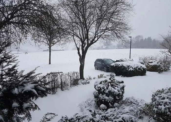 Lejlighed Mit Kamin-sonnendurchflutet-balkon Winterberg