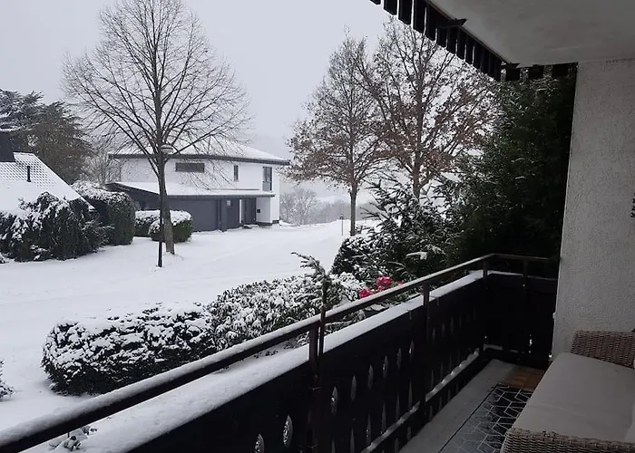 Mit Kamin-sonnendurchflutet-balkon *